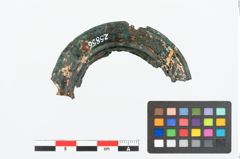 Foto von Bronzephalere (NHMW-PRAE-025856)